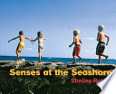 Senses at the seashore /