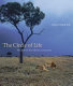 The circle of life : wildlife on the African savannah /