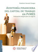 Auditoria financiera del capital de trabajo en PyMES : evaluacion integral para su negocio /