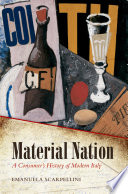 Material nation : a consumer's history of modern Italy /