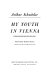 My youth in Vienna / Foreword by Frederic Morton. Translated by Catherine Hutter.