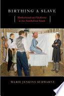 Birthing a slave : motherhood and medicine in the antebellum South / Marie Jenkins Schwartz.