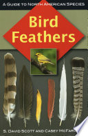 Bird feathers : a guide to North American species / S. David Scott and Casey McFarland.