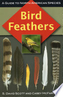 Bird feathers : a guide to North American species /