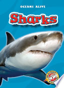 Sharks /