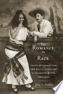 The romance of race incest, miscegenation, and multiculturalism in the United States, 1880-1930 /