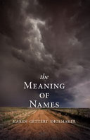 The meaning of names : a novel /