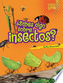 ¿Sabes algo sobre insectos? /