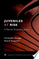 Juveniles at risk : a plea for preventive justice /