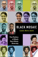 Black mosaic : the politics of Black pan-ethnic diversity / Candis Watts Smith.