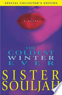 The coldest winter ever : a novel / Sister Souljah.