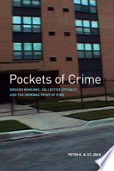 Pockets of Crime : Broken Windows, Collective Efficacy, and the Criminal Point of View /