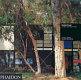 Eames House : Charles and Ray Eames /