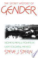 The secret history of gender : women, men, and power in late colonial Mexico / Steve J. Stern.