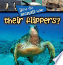 How do animals use-- their flippers? /