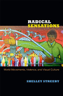 Radical sensations : world movements, violence, and visual culture / Shelley Streeby.