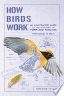 How birds work : an illustrated guide to the wonders of form and function from bones to beak /