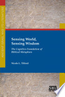 Sensing world, sensing wisdom : the cognitive foundation of biblical metaphors /