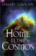 At home in the cosmos / David Toolan.