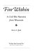 Fire within : a Civil War narrative from Wisconsin / Kerry A. Trask.