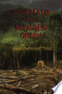 In the realm of the diamond queen : marginality in an out-of-the-way place /