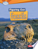 Figuring out fossils /