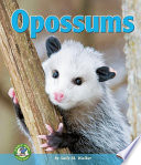 Opossums / by Sally M. Walker.