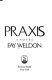 Praxis : a novel /