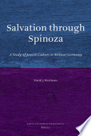 Salvation through Spinoza a study of Jewish culture in Weimar Germany /