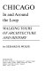 Chicago : in and around the loop : walking tours of architecture and history / by Gerard R. Wolfe.