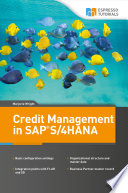 Credit Management in SAP S/4HANA