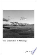 The experience of meaning / Jan Zwicky.